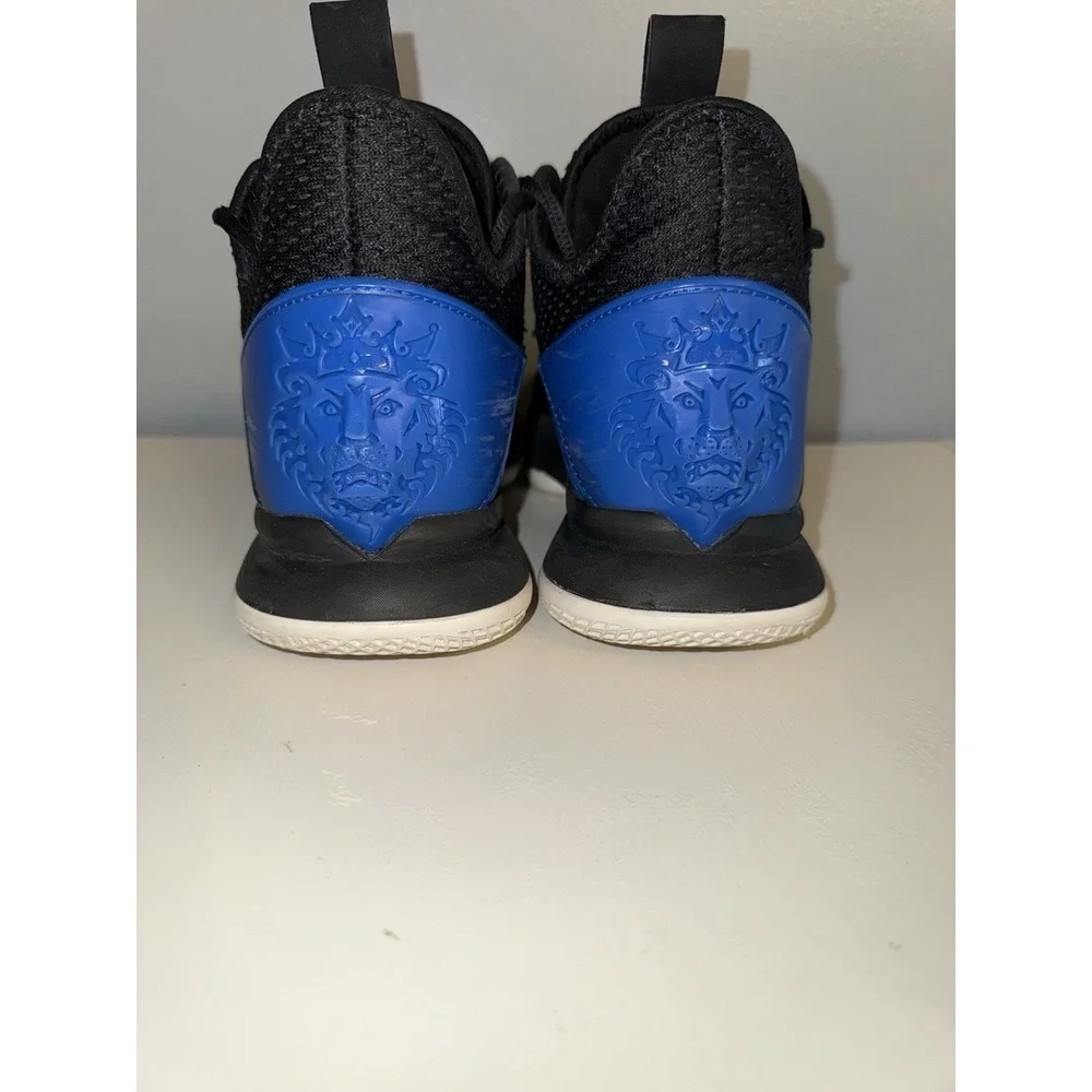 Nike lebron witness
